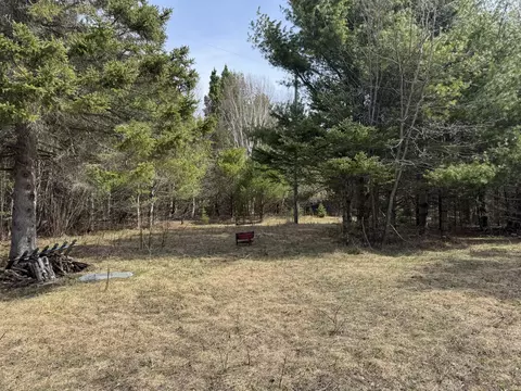 10736 Jones Blvd, Carp Lake, MI 49718