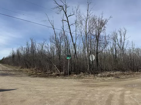 37 Acres Dekruif Rd #SECTION 24, Levering, MI 49755