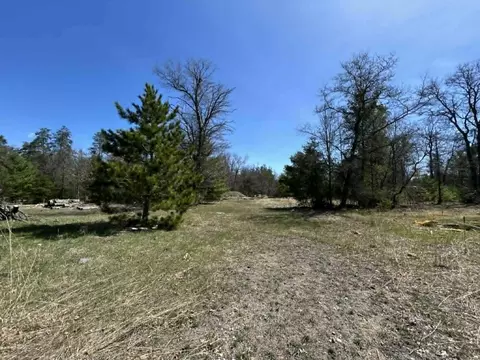 961 Stitt Ln, Mio, MI 48647 photo 4