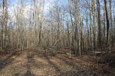 Parcel 1 Hardy Grade Road, Fairview, MI 48621