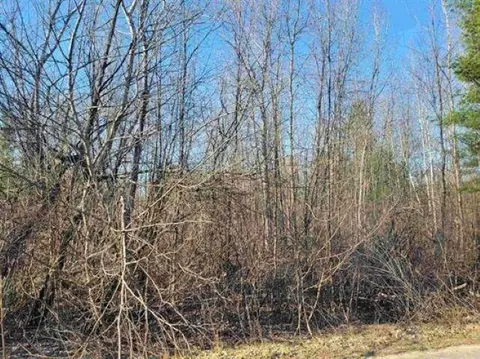 0 50 Ac Maple St #0.50 ACRES, Gladwin, MI 48624 photo 4