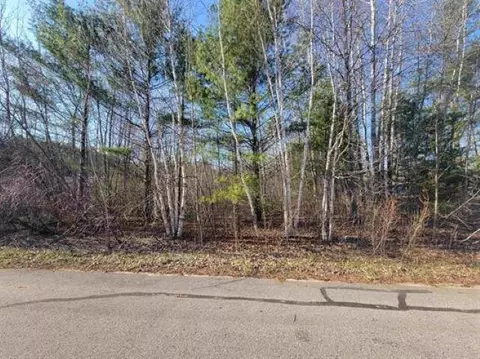 0 50 Ac Maple St #0.50 ACRES, Gladwin, MI 48624 photo 3