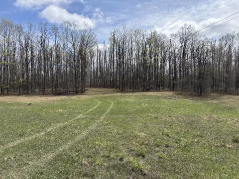Parcel 5 Birch Run Drive, Gaylord, MI 49735