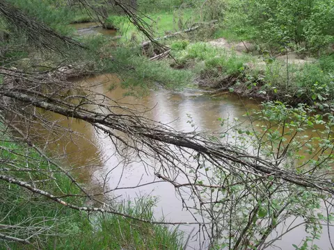 Par 17 Spikehorn Trail #PARCEL 17, Indian River, MI 49749