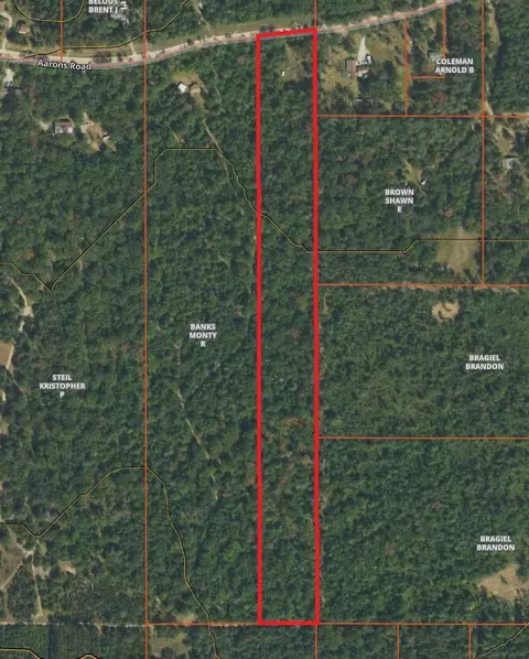 2975 Aarons Rd, Lewiston, MI 49756
