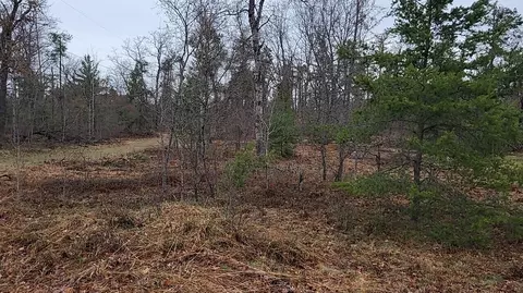 4031 Diamond Dr, Grayling, MI 49738 photo 3
