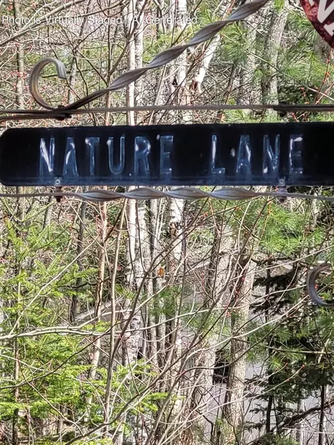 V/l Lot 13 Nature Lane, Ocqueoc, MI 49759