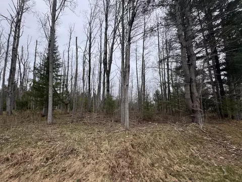 6809 Needles Rd, Indian River, MI 49749