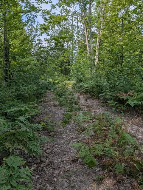 6736 Finnegan Rd, Johannesburg, MI 49751
