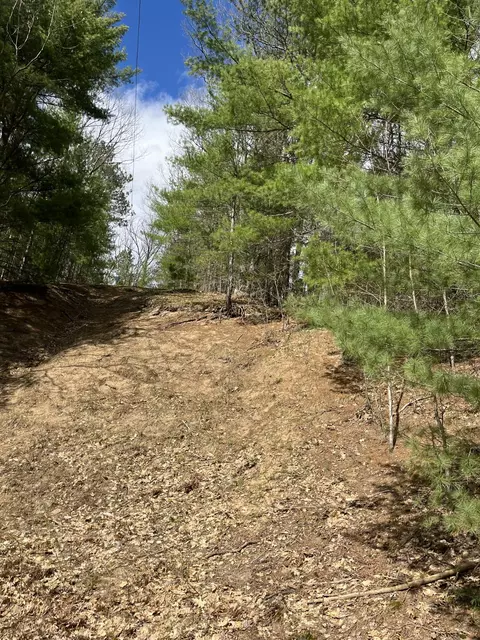 2687 Birchcrest Dr, Kalkaska, MI 49646