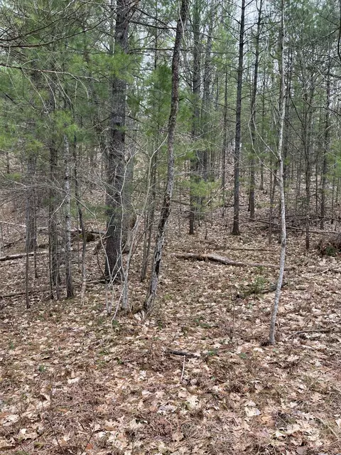2687 Birchcrest Dr, Kalkaska, MI 49646