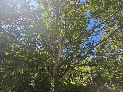 Other - 1540 Winding Trl, Fairview, MI 48621 photo 16 of 24