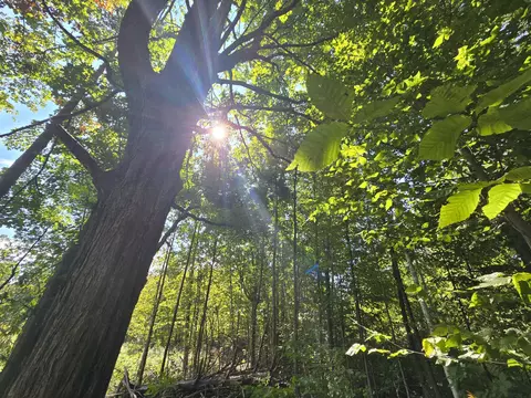 Other - 1540 Winding Trl, Fairview, MI 48621 photo 21 of 24