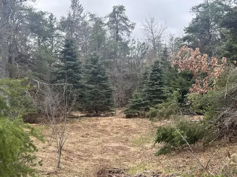 32 E Ac E Railroad Trl #32 ACRES, Grayling, MI 49738