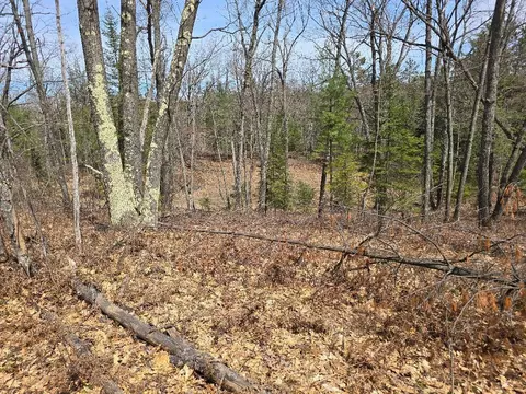 13991 Royston Rd, Hawks, MI 49743 photo 11