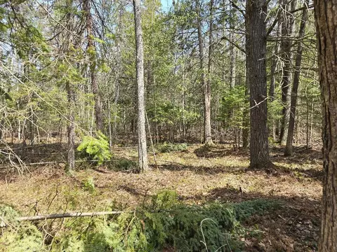 13991 Royston Rd, Hawks, MI 49743 photo 14