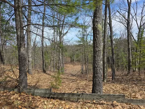 13991 Royston Rd, Hawks, MI 49743 photo 15