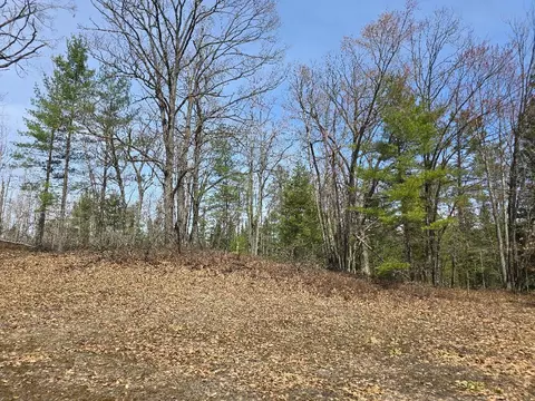 13991 Royston Rd, Hawks, MI 49743 photo 8