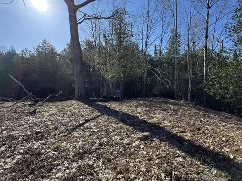 2526 Gregory Rd, Brutus, MI 49716 photo 20