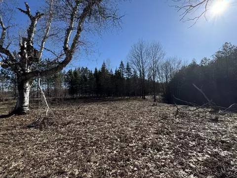 2526 Gregory Rd, Brutus, MI 49716 photo 19