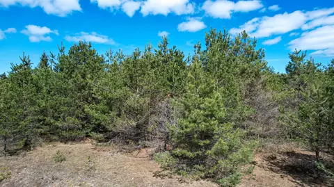2 N 83 Ac N Black River Rd #2.83 ACRES, Cheboygan, MI 49721