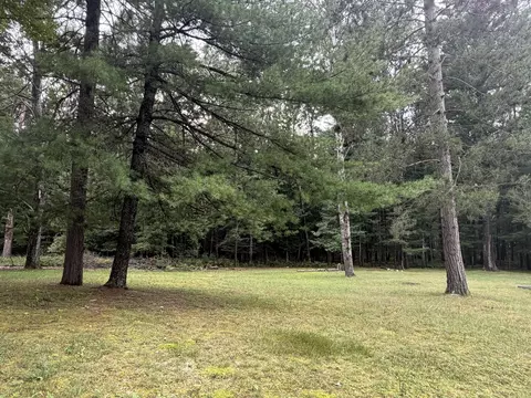 11831 Woody Rd, Roscommon, MI 48653