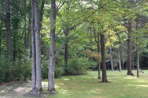11831 Woody Rd, Roscommon, MI 48653