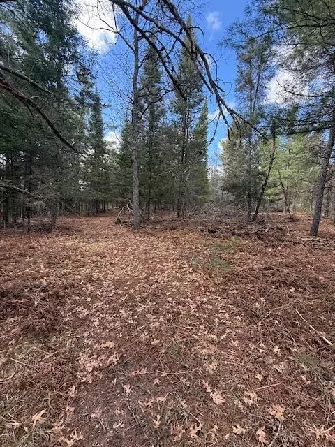 Parcel 1 Sawmill Trail, Grayling, MI 49738 photo 4