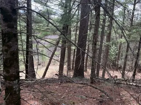 Parcel 1 Sawmill Trail, Grayling, MI 49738 photo 3