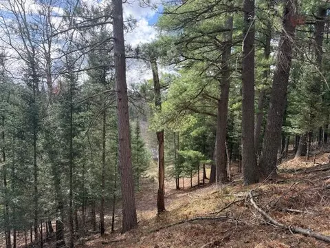 Parcel 1 Sawmill Trail, Grayling, MI 49738 photo 5