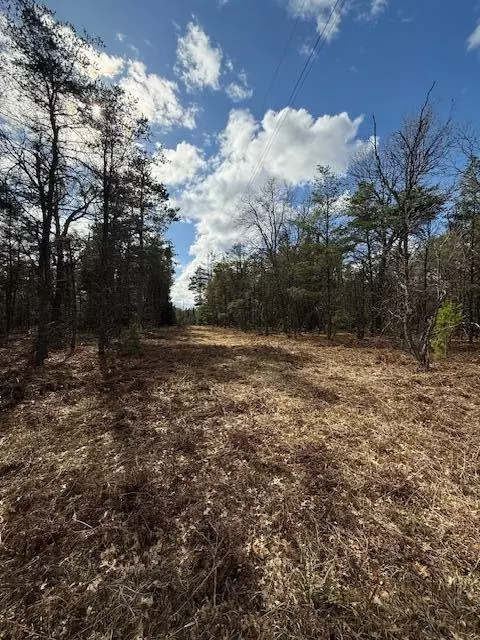 Parcel 1 Sawmill Trail, Grayling, MI 49738 photo 8