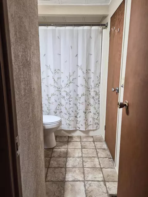 Bath - 11611 Sherwood Dr, Frederic, MI 49733 photo 4 of 8