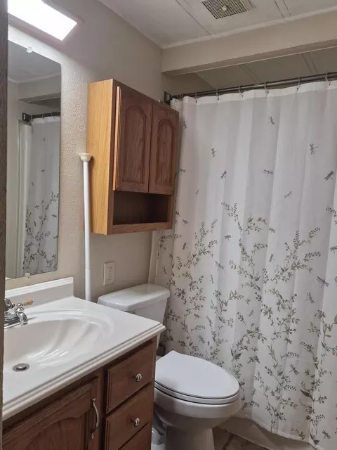 Bath - 11611 Sherwood Dr, Frederic, MI 49733 photo 5 of 8