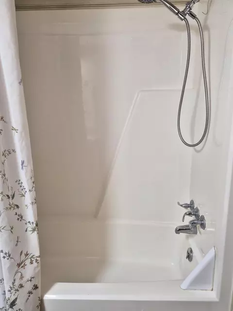 Bath - 11611 Sherwood Dr, Frederic, MI 49733 photo 7 of 8