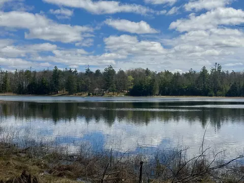 2546 N Wintergreen Trail Apt 10- Acres Trl #10+/- ACRES, Curran, MI 48728