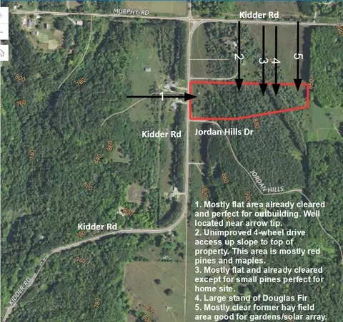 2820 Jordan Hills Dr, East Jordan, MI 49727