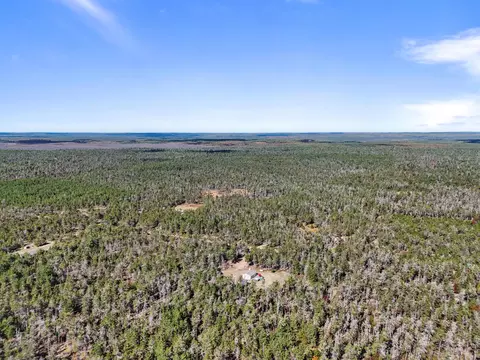 View/Area - 390 Ember Trl, Grayling, MI 49738 photo 3 of 5