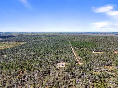 View/Area - 390 Ember Trl, Grayling, MI 49738 photo 5 of 5