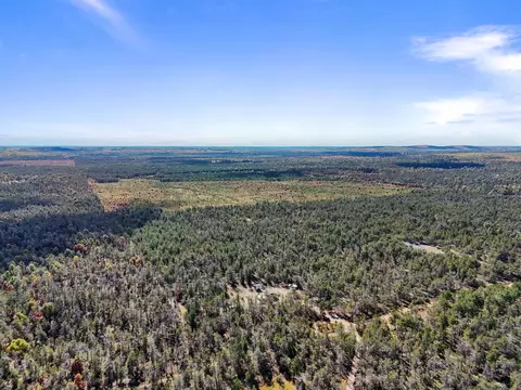 View/Area - 390 Ember Trl, Grayling, MI 49738 photo 4 of 5