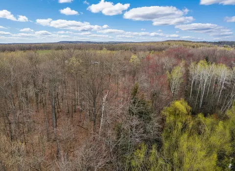 7 5 Ac Latocha Rd #7.5, Pellston, MI 49769 photo 12