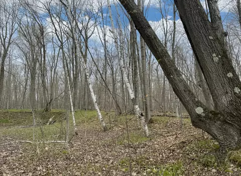7 5 Ac Latocha Rd #7.5, Pellston, MI 49769 photo 6
