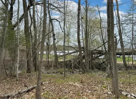 7 5 Ac Latocha Rd #7.5, Pellston, MI 49769 photo 9