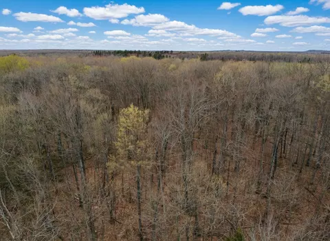 7 5 Ac Latocha Rd #7.5, Pellston, MI 49769 photo 8