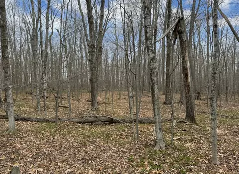 7 5 Ac Latocha Rd #7.5, Pellston, MI 49769 photo 3