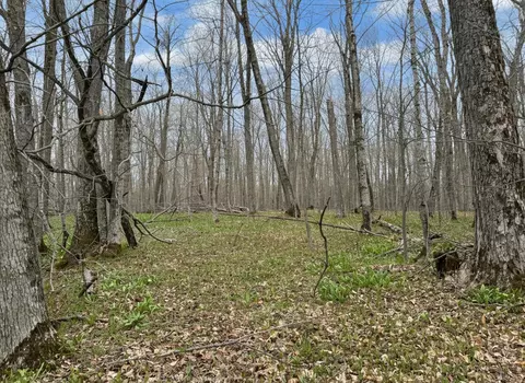 7 5 Ac Latocha Rd #7.5, Pellston, MI 49769 photo 4