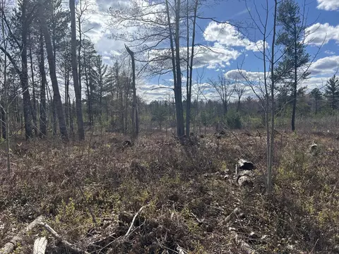 lot S 80-81 S Paradise Rd, Merritt, MI 49667