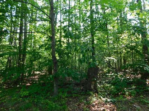 Exterior - 11809 Bear Track Trl, Frederic, MI 49733 photo 12 of 13