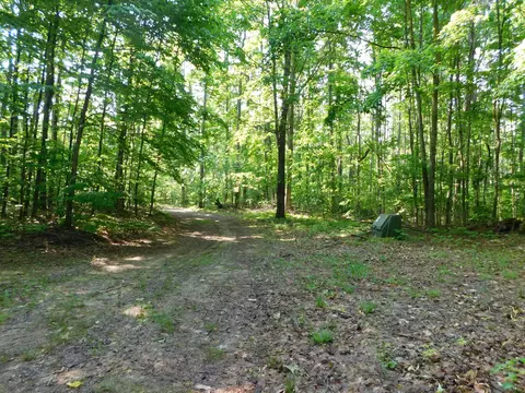 Exterior - 11809 Bear Track Trl, Frederic, MI 49733 photo 13 of 13