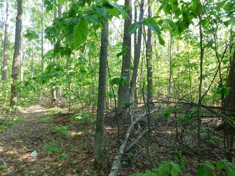 Exterior - 11809 Bear Track Trl, Frederic, MI 49733 photo 8 of 13