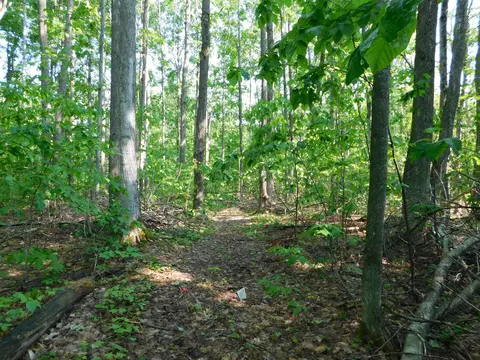 Exterior - 11809 Bear Track Trl, Frederic, MI 49733 photo 9 of 13